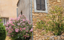Les villages de Lumio et Occi