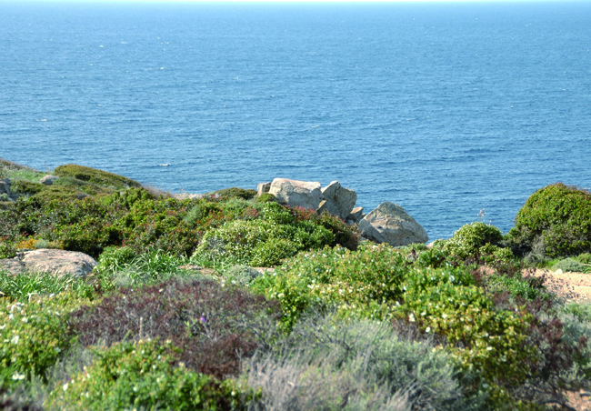 Charte paysagère du Pays de Balagne Charte paysagère du Pays de Balagne