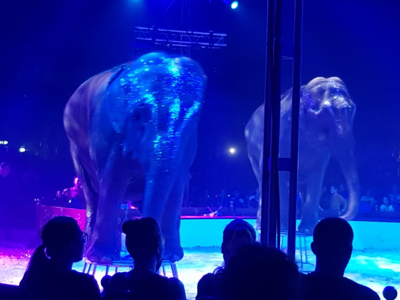 Festival international du Cirque de Corse, un dimanche tout en magie, qui a ravi les petits comme les grands Festival international du Cirque de Corse, un dimanche tout en magie, qui a ravi les petits comme les grands