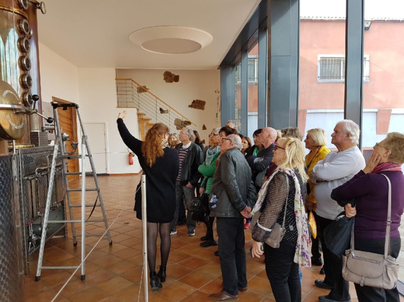 CCAS : Visite du Musée d'Aléria et du domaine de Mavela CCAS : Visite du Musée d'Aléria et du domaine de Mavela