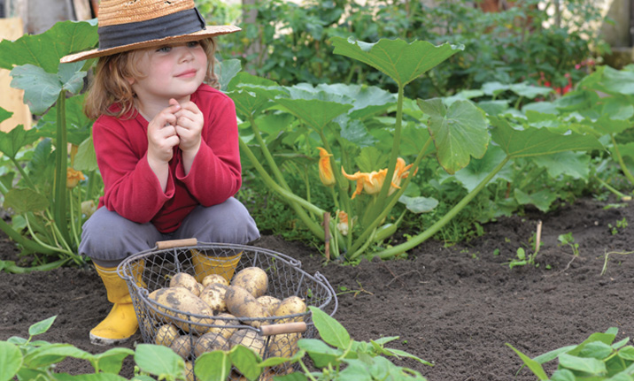 Aménagement du jardin Ortu di a Funtana