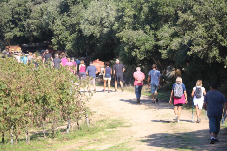 CCAS : la Marche Bleue 2018 en images