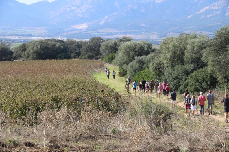 CCAS : la Marche Bleue 2018 en images