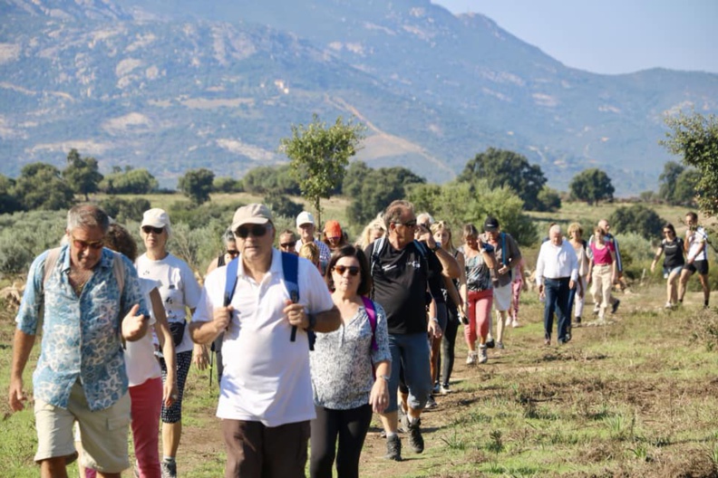 CCAS : la Marche Bleue 2018 en images