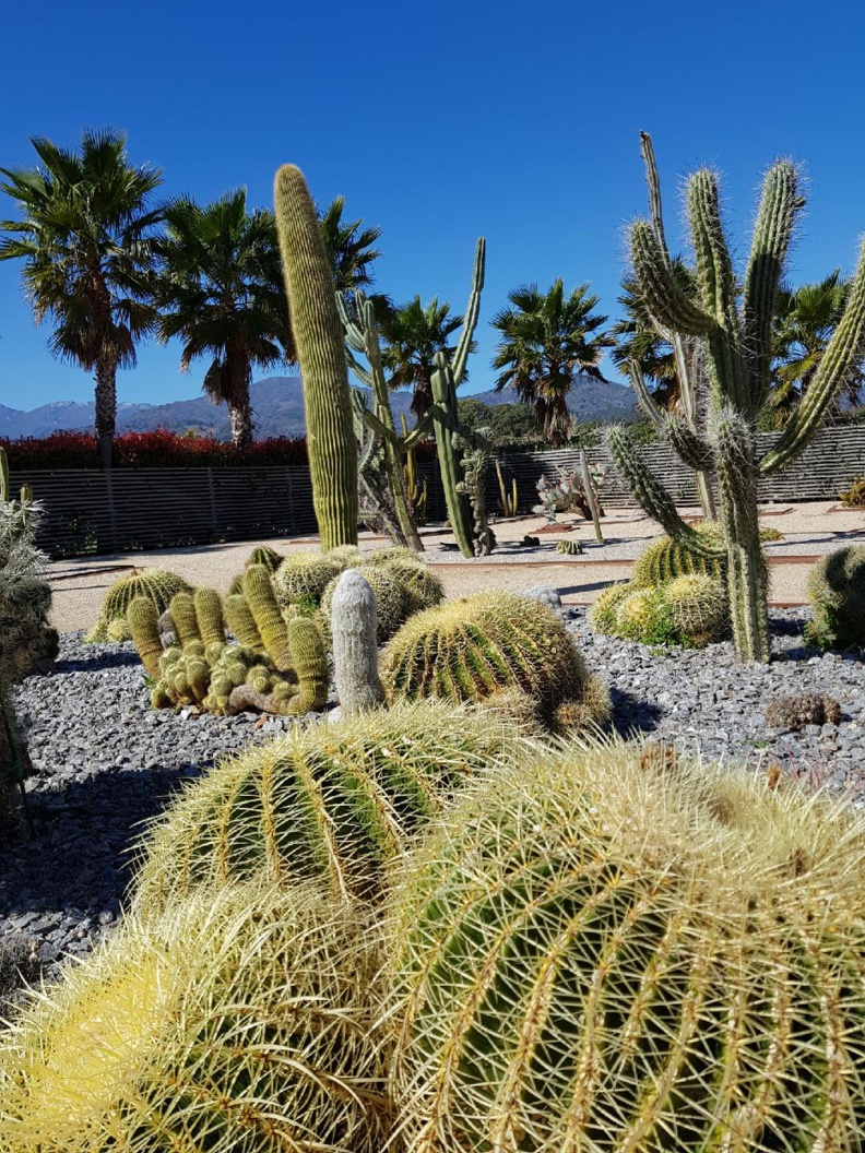 Visite du Parc Galéa : un ravissement pour les participants ! Visite du Parc Galéa : un ravissement pour les participants !