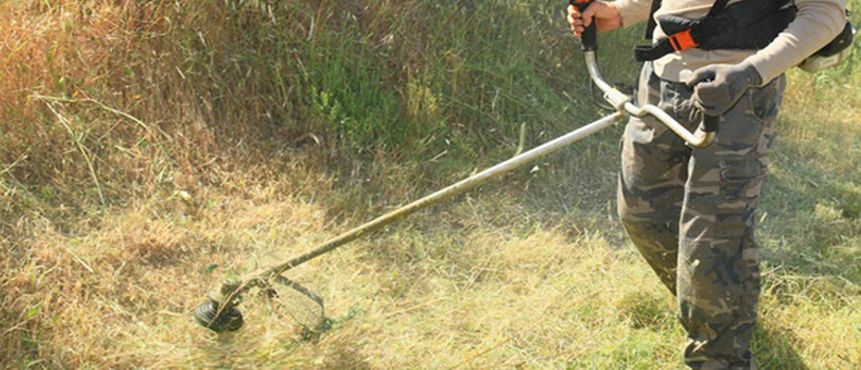 Crédit Photo : Fotolia Crédit Photo : Fotolia