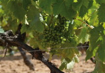 Exploitations agricoles Exploitations agricoles