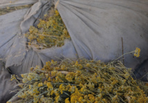 Exploitations agricoles Exploitations agricoles