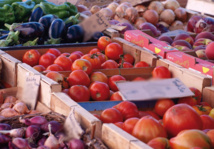 Exploitations agricoles Exploitations agricoles