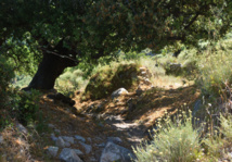 Activités sportives Activités sportives