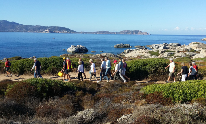 Vif succès pour la Marche Bleue 2014 organisée par le CCAS Vif succès pour la Marche Bleue 2014 organisée par le CCAS