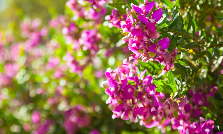 Crédit photo : Fotolia Crédit photo : Fotolia