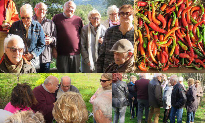 CCAS : visite au jardin botanique fruitier d'Avapessa