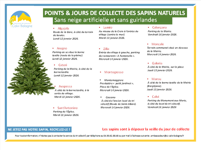 Collecte des sapins de Noël naturels le 13 janvier 2026