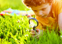 ALSH A ZITELLINA juillet 2018 - découverte de la faune et la flore insulaires ALSH A ZITELLINA juillet 2018 - découverte de la faune et la flore insulaires