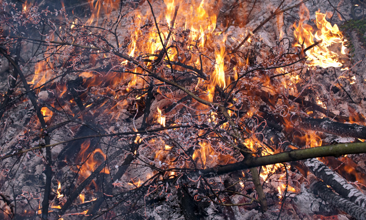 Interdiction temporaire d'emploi du feu les 5 et 6 novembre 2017