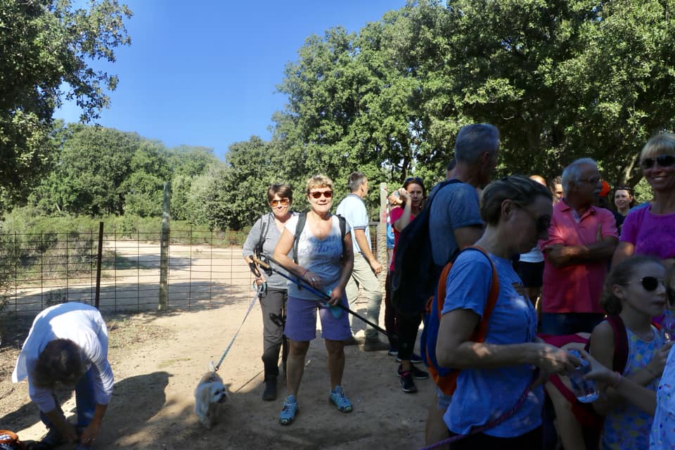 CCAS : la Marche Bleue 2018 en images