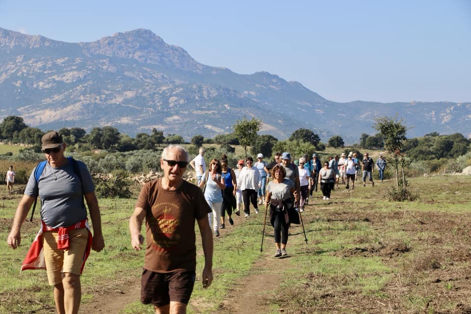 CCAS : la Marche Bleue 2018 en images