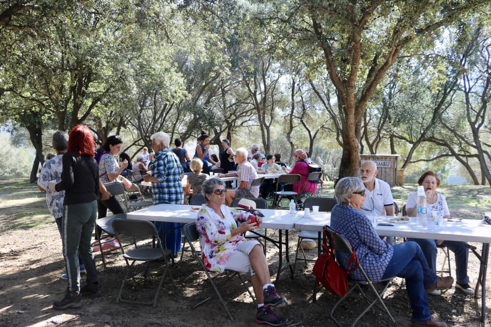 CCAS : la Marche Bleue 2018 en images