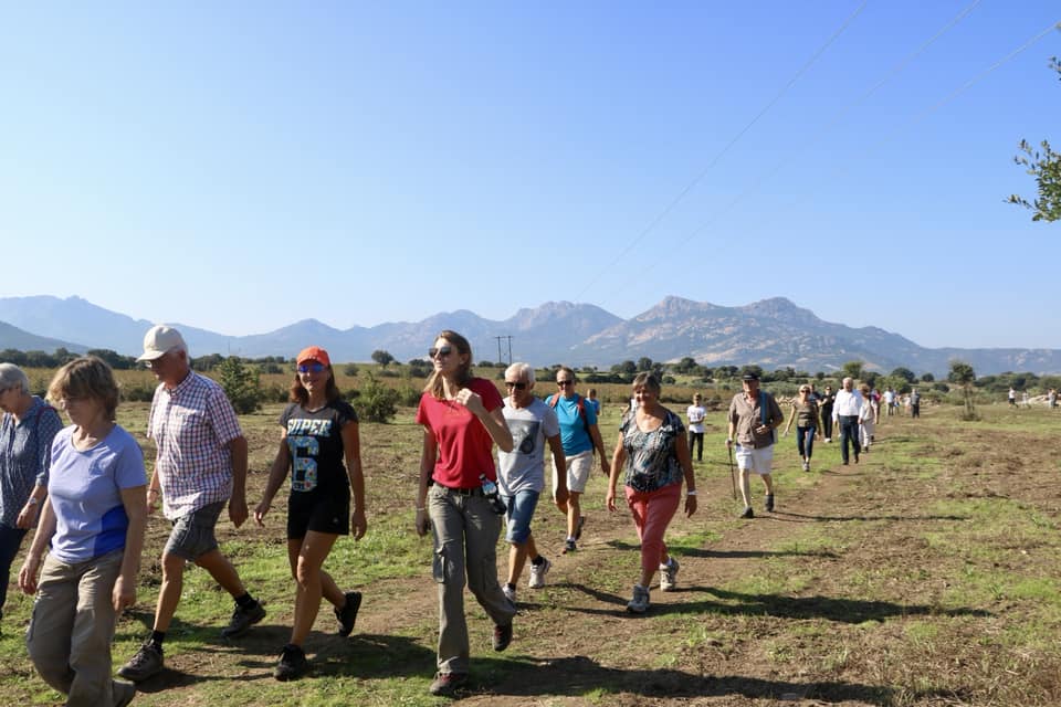 CCAS : la Marche Bleue 2018 en images