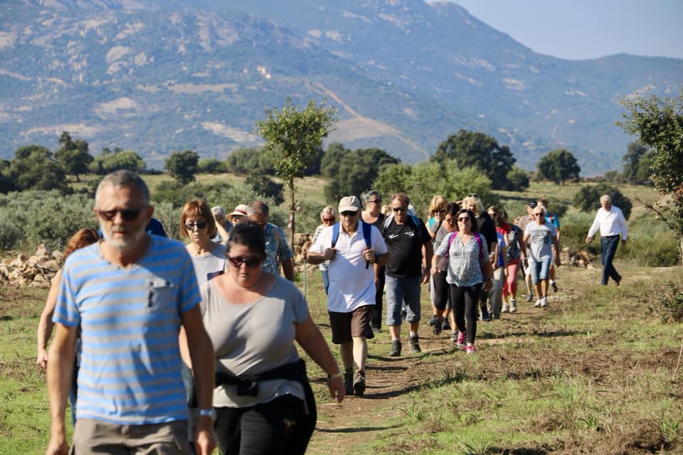 CCAS : la Marche Bleue 2018 en images