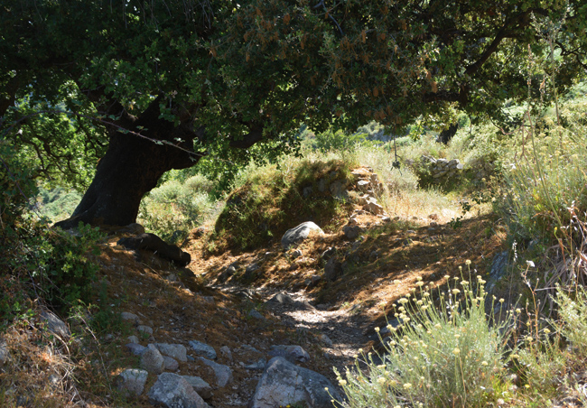 Activités sportives Activités sportives