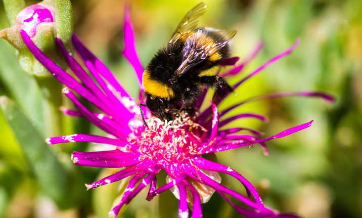 Crédit photo : Fotolia Crédit photo : Fotolia