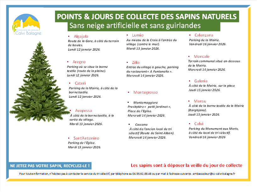 Collecte des sapins de Noël naturels le 13 janvier 2026