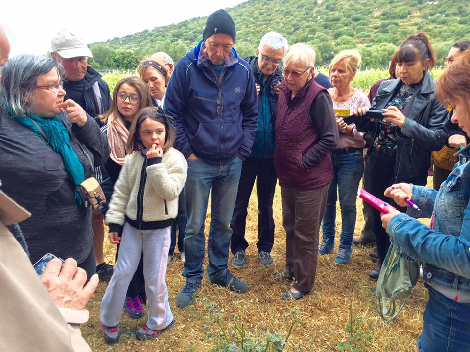 Découverte des plantes locales