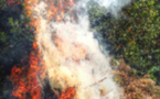 Interdiction temporaire d'emploi du feu     
