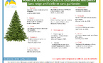Collecte des sapins de Noël naturels le 13 janvier 2026